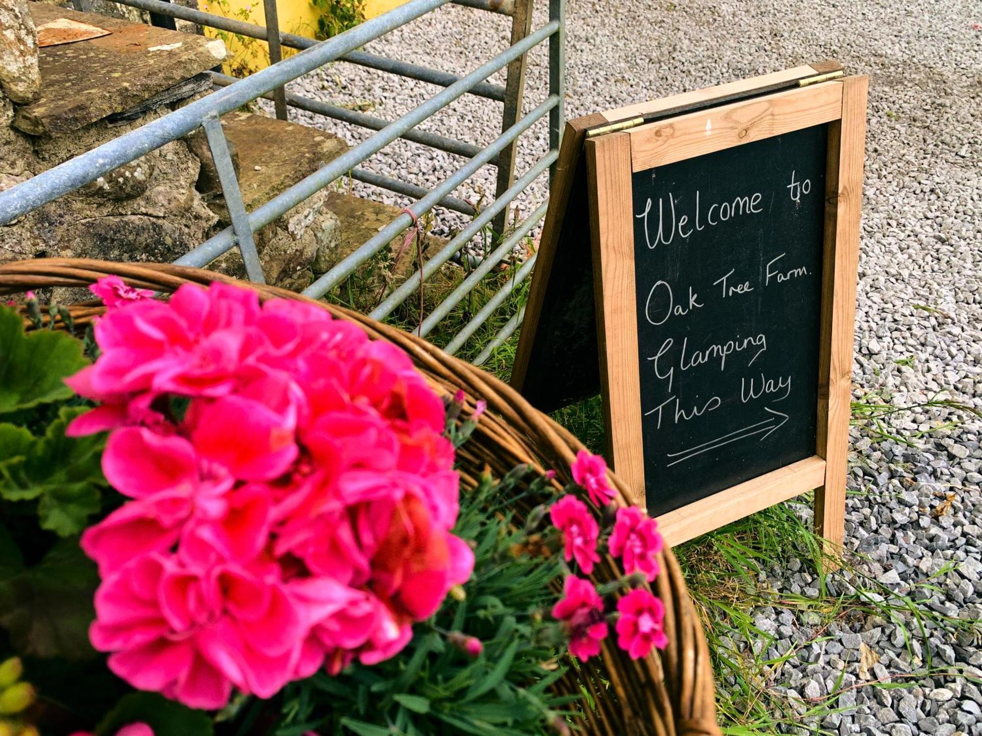 Oak Tree Farm Hotel Llanfynydd Eksteriør billede