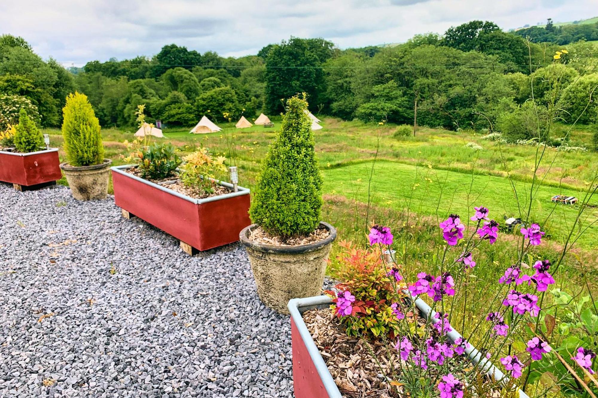Oak Tree Farm Hotel Llanfynydd Eksteriør billede